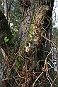 Rostoczek 11.2008 122